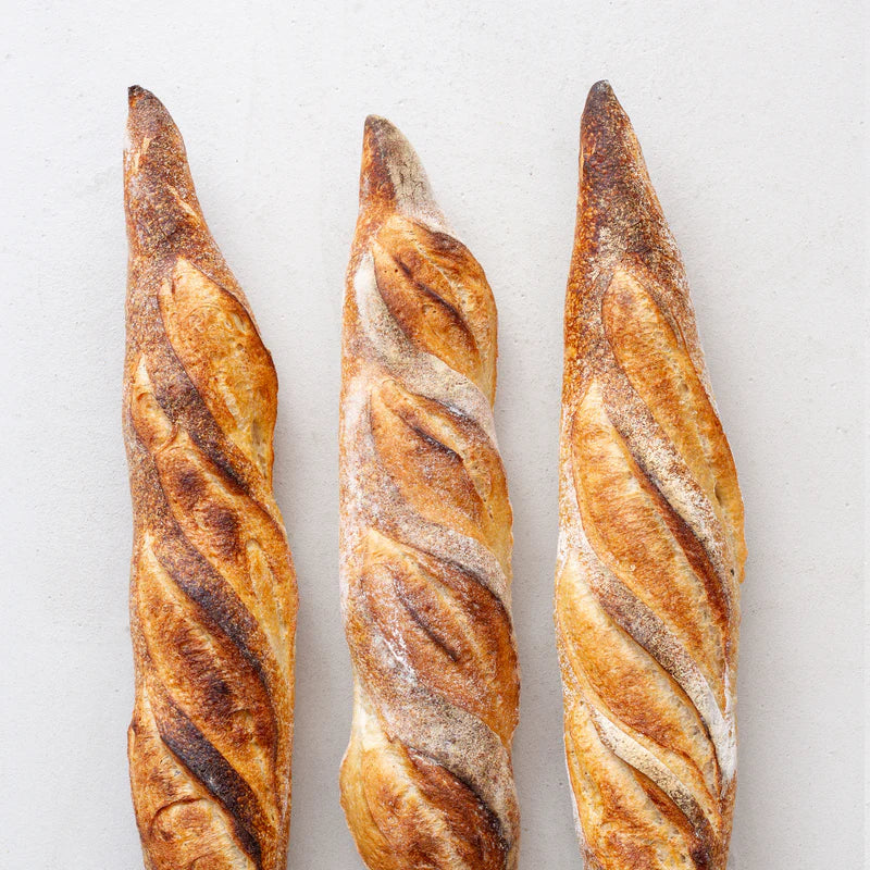 Sourdough Plain 500g